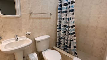 Habitación Deluxe | Baño | Ducha, secador de pelo, toallas y jabón