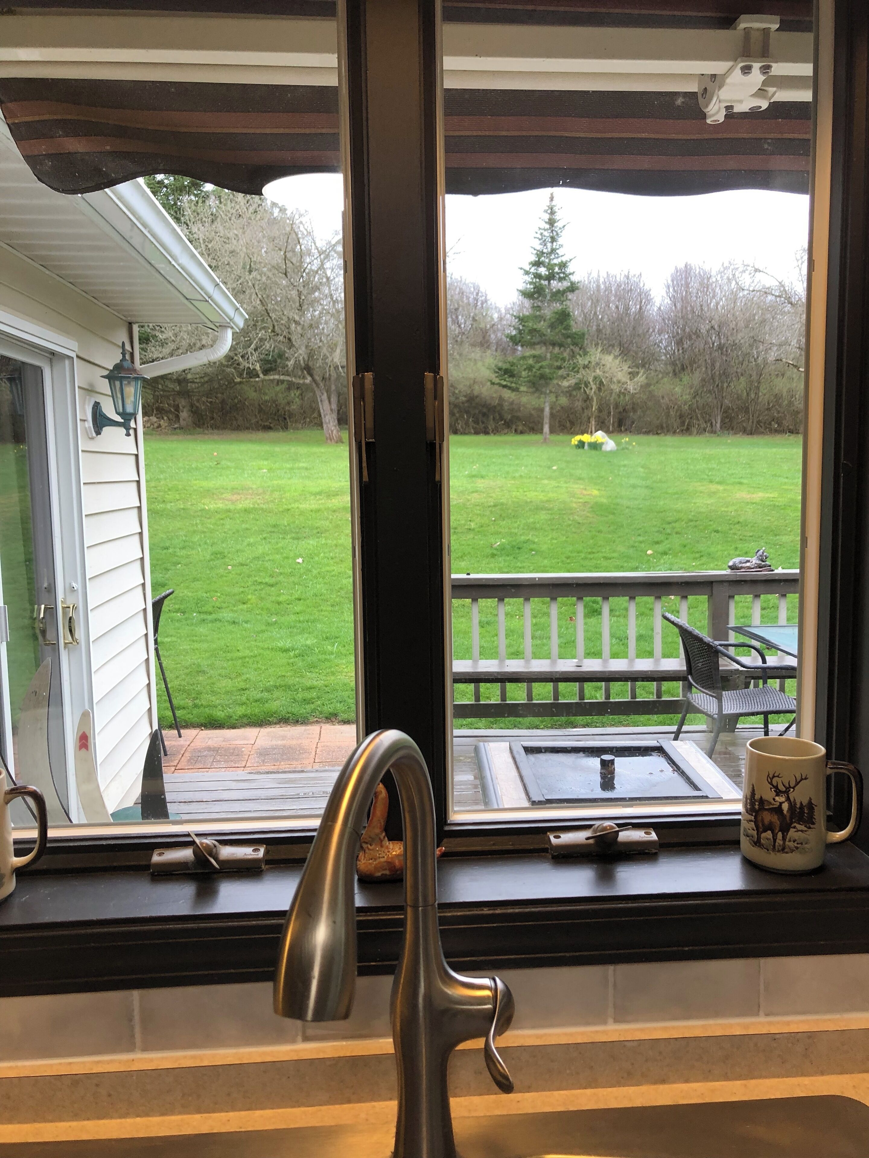 Deck off kitchen area