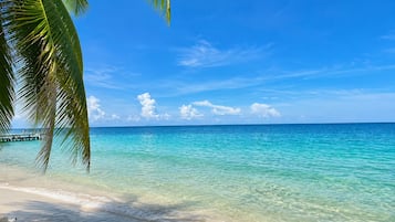 A beach with clear turquoise water, a sandy shore, and a palm tree.