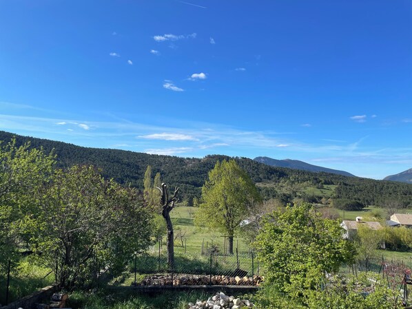 A rural landscape with a clear sky, green fields, and a distant mountain range.