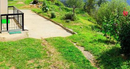 Shimla Best Place To Live , 2Bhk Apartment Mashobra , SHIMLA