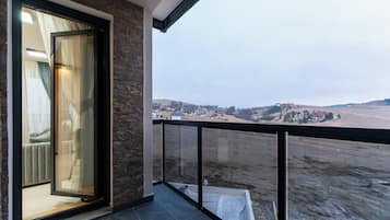 Vista dalla camera