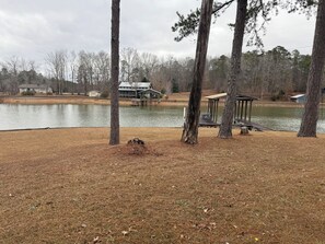 Property grounds - Cozy 2-bedroom with 180 water views (Jacksons' Gap)