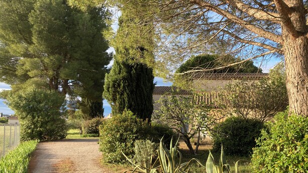 Un sentier de jardin bordé de différentes plantes et arbres, menant à un bâtiment doté d’un toit en tuiles.