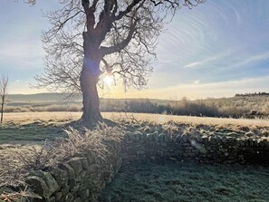 Imagen sin descripción, 4 de 5, botón