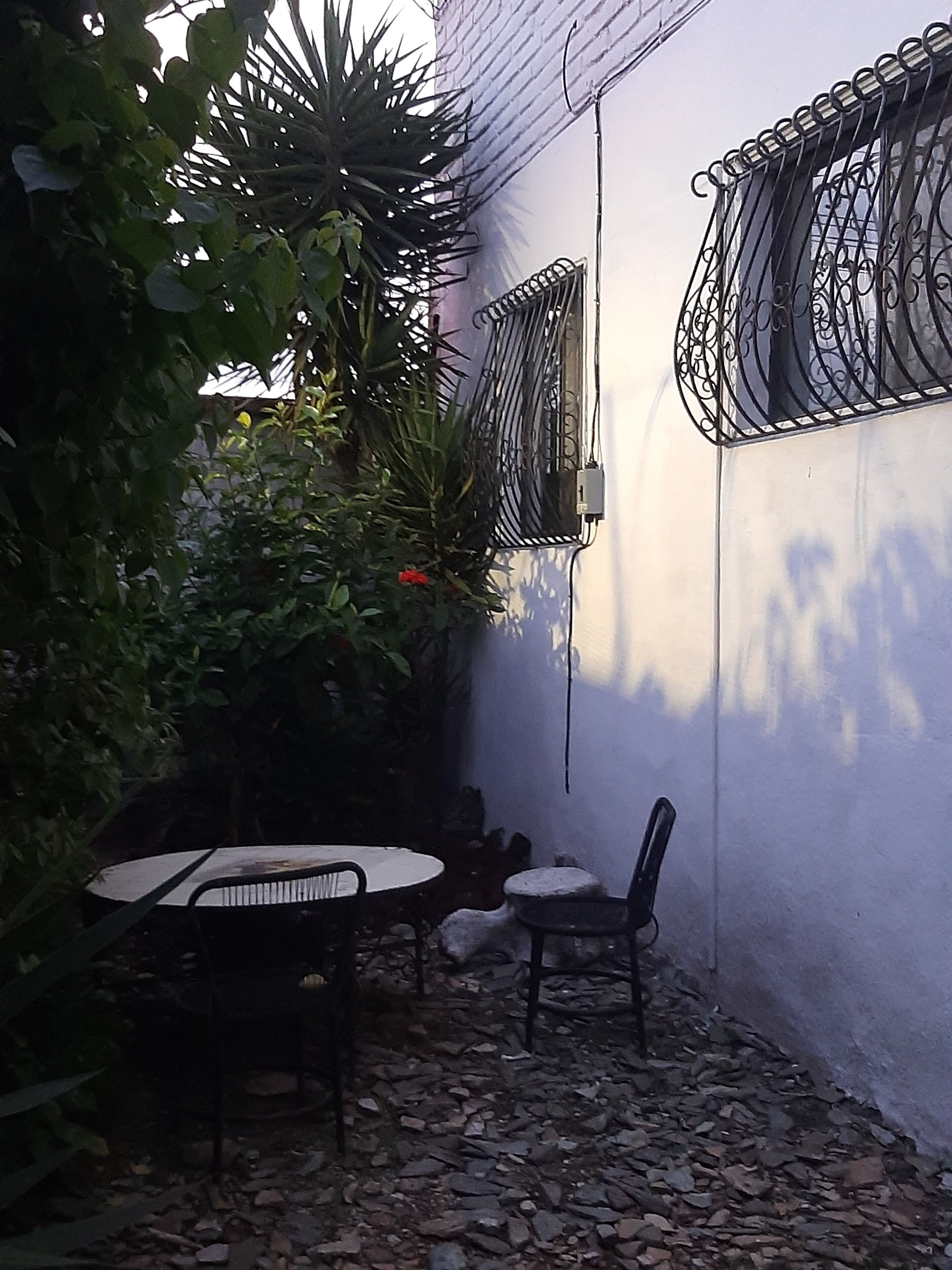 A patio area with a table and chairs, surrounded by plants and a white wall.