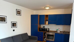 A compact living space with a grey sofa, a patterned rug, and a kitchenette with blue cabinets. - 1 Bed Flat - Sleeps 4 - Pets - Smoking on Terrace (Prague)