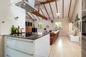 Microwave, oven, stovetop, dishwasher - The Villa of Maximus is undoubtedly the most beautiful accommodation in Leipzig (Leipzig)