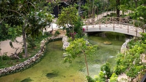 Un jardín tranquilo con un sendero de piedra, un pequeño estanque y un puente de madera.