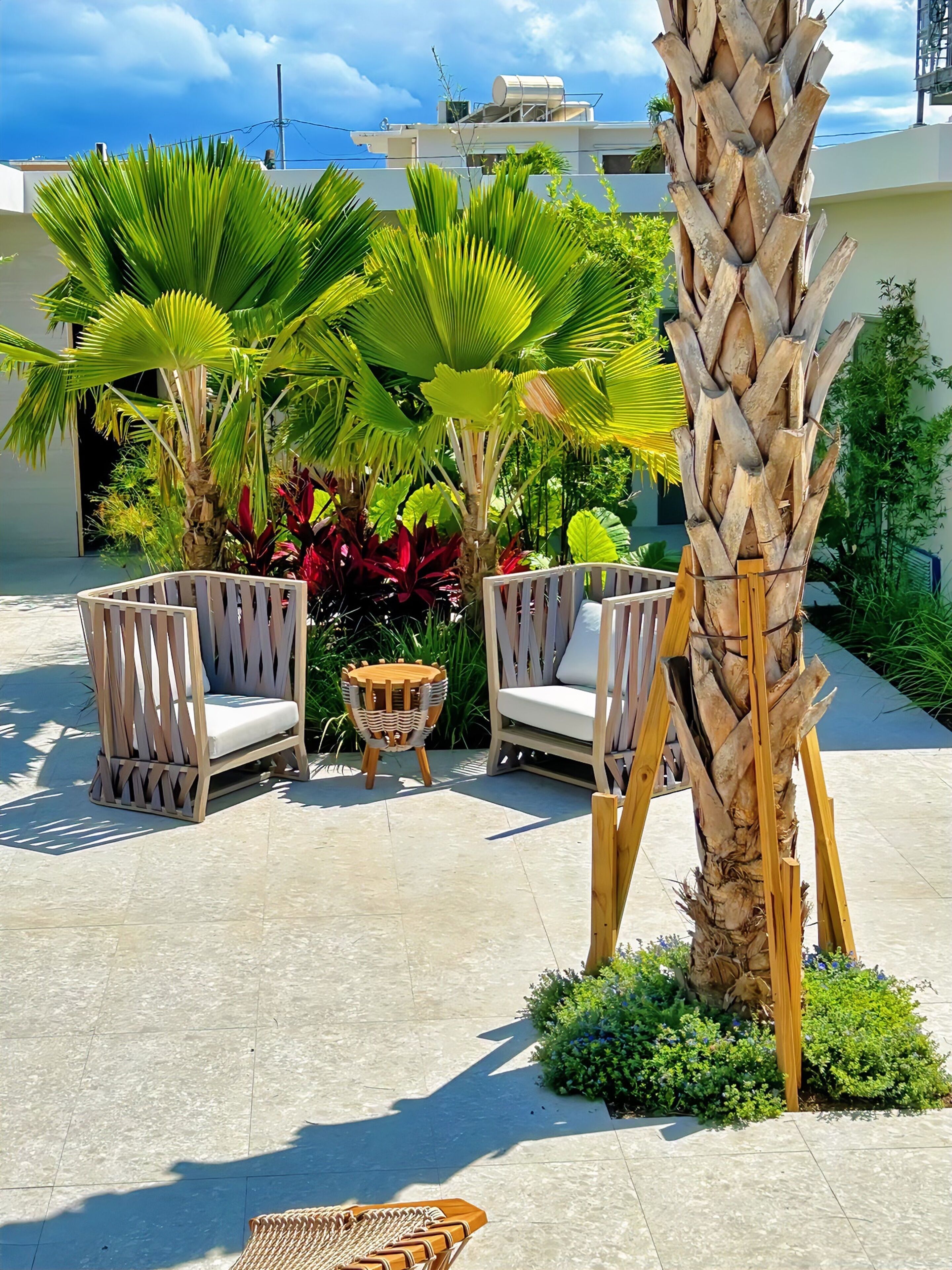 Eine Terrassenfläche mit zwei Korbstühlen, einem kleinen runden Tisch und einer Palme.