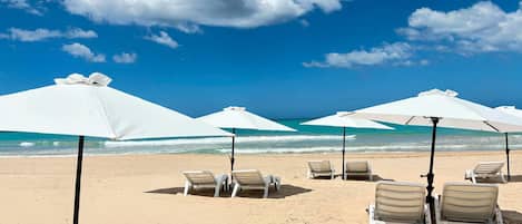 Plage à proximité, sable blanc, chaises longues, parasols