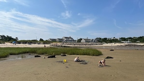 Ein Strand mit sandigem Ufer, einigen Personen und Häusern im Hintergrund.
