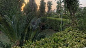 A well-maintained garden with various plants and a neatly trimmed hedge. -  Beautiful villa with pool in Specchia (Specchia)