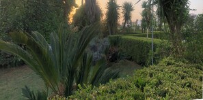 Overnattingsstedets uteområder