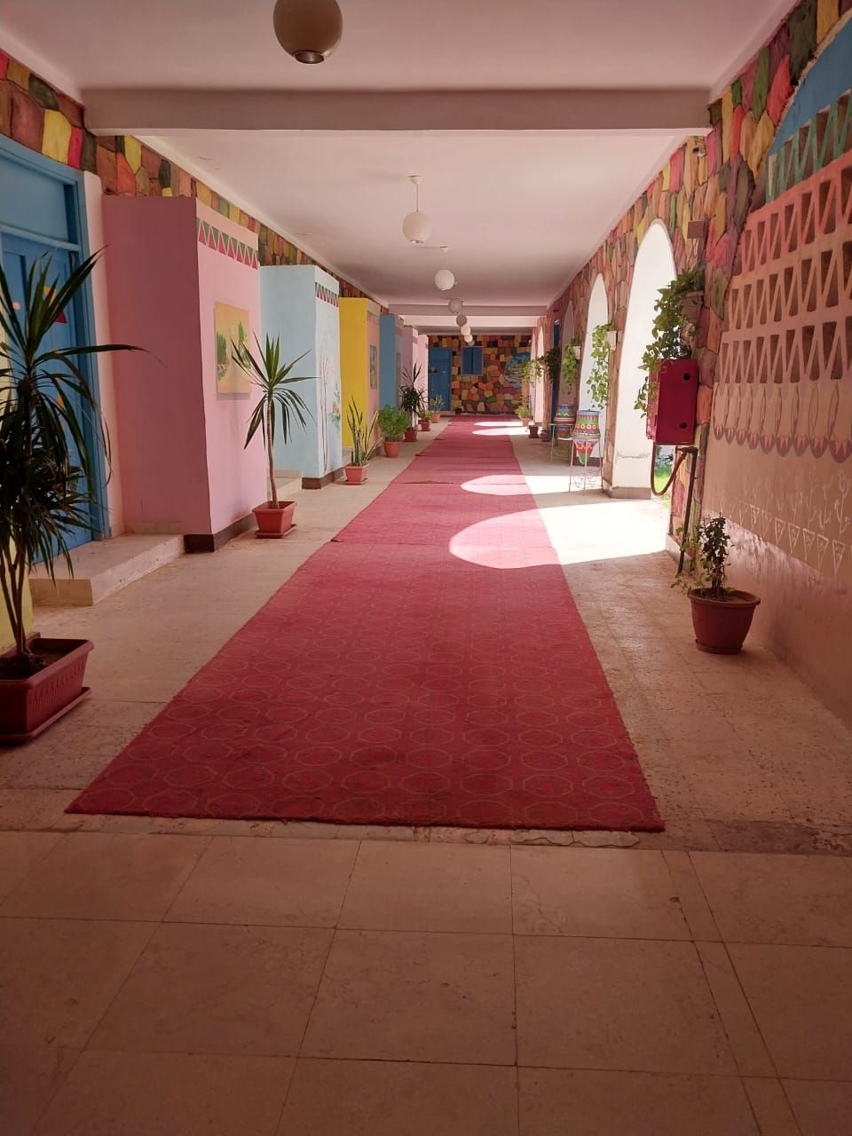 Corredor de hotel com carpete vermelho, plantas em vasos e paredes coloridas.
