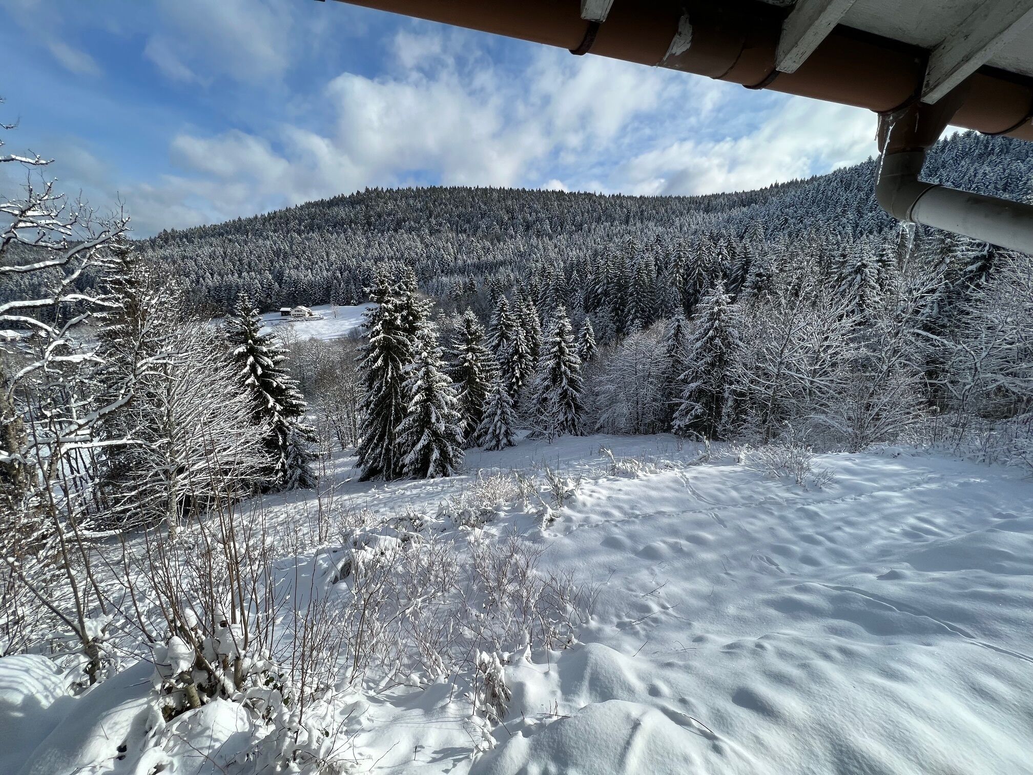 A snowy landscape with a forest and a cabin.