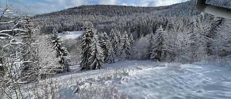 A snowy landscape with a forest and a cabin.