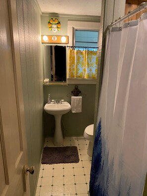 Shower, towels, soap, toilet paper