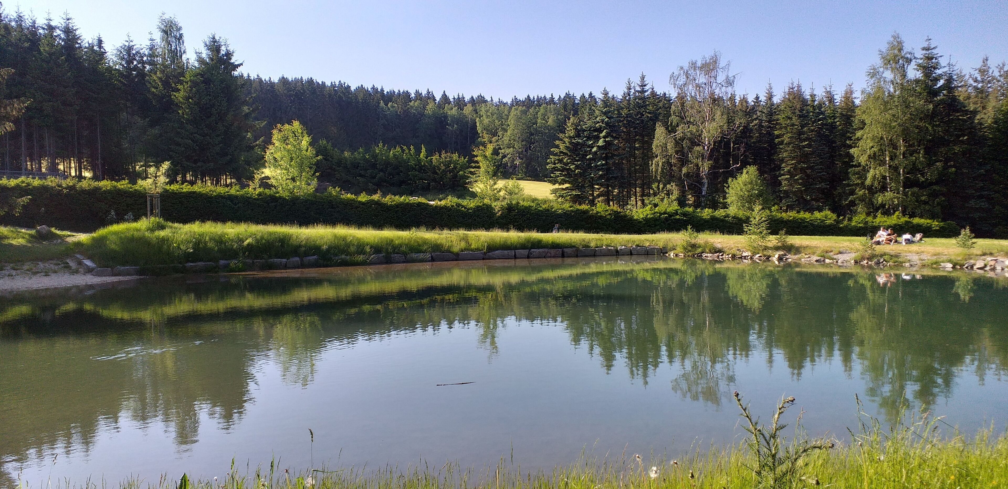 Ein friedlicher See, umgeben von dichtem Wald und wolkenlosem Himmel.