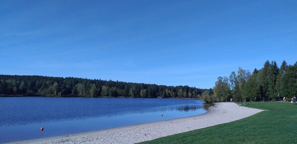 Beach - Sonnige Fewo im Erzgebirgsstädtchen Thum, am Fuße der Greifensteine (Thum)