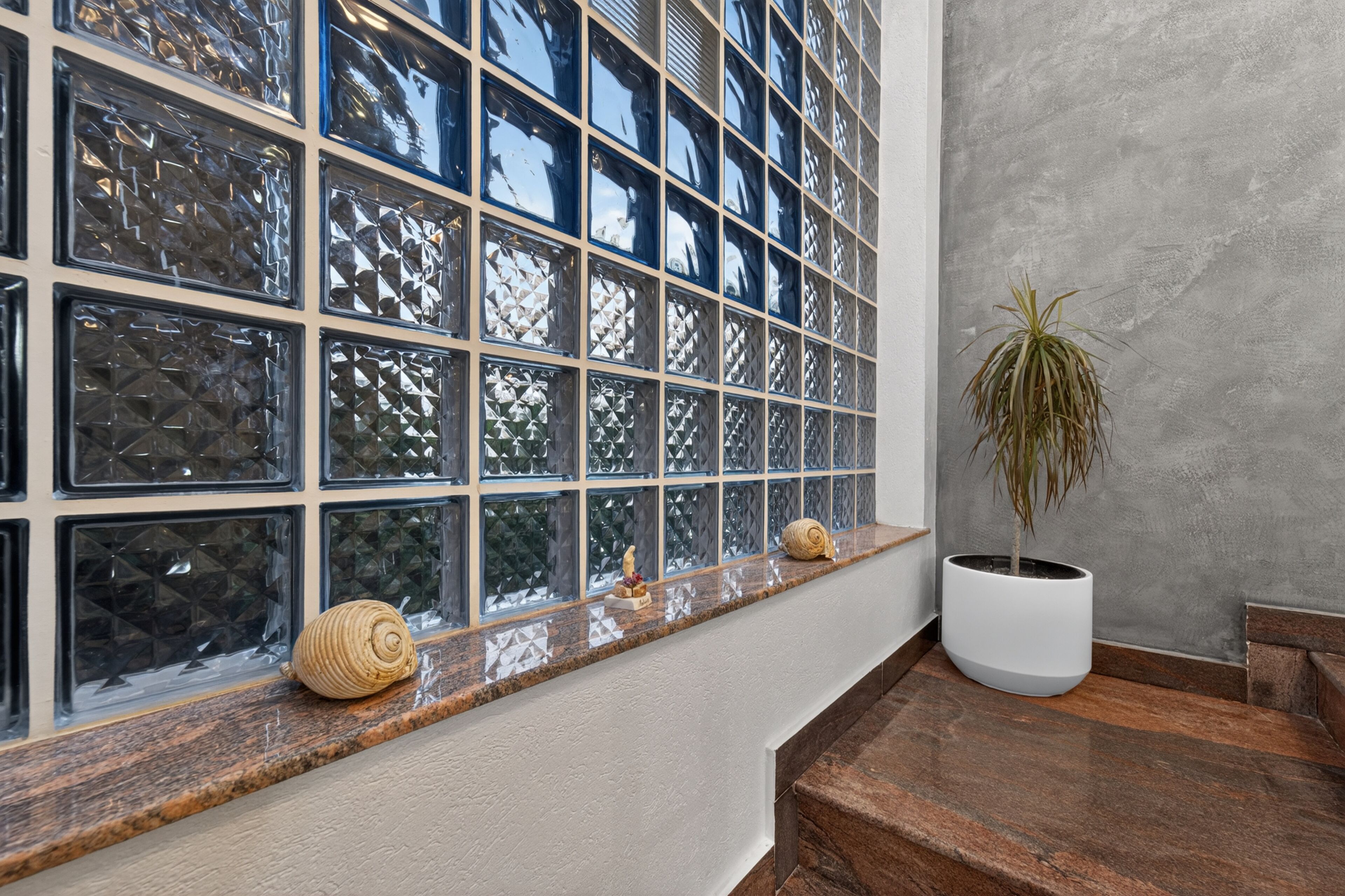 A window with a textured glass pattern, a potted plant, and decorative shells on a ledge.