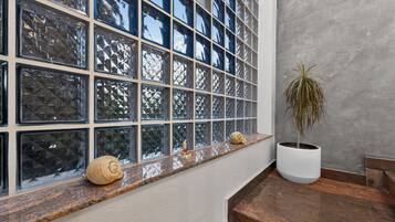 A window with a textured glass pattern, a potted plant, and decorative shells on a ledge.