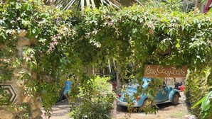Un jardín con un muro de piedra, un coche azul y un cartel que dice 'las Casitas'.