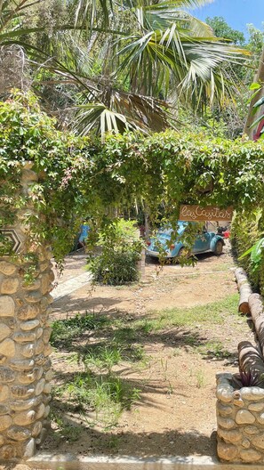 Property grounds - Casa Rosa: Starlink, AC & Superbly Located! (Mazunte)