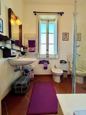 Shower, hair dryer, bidet, towels