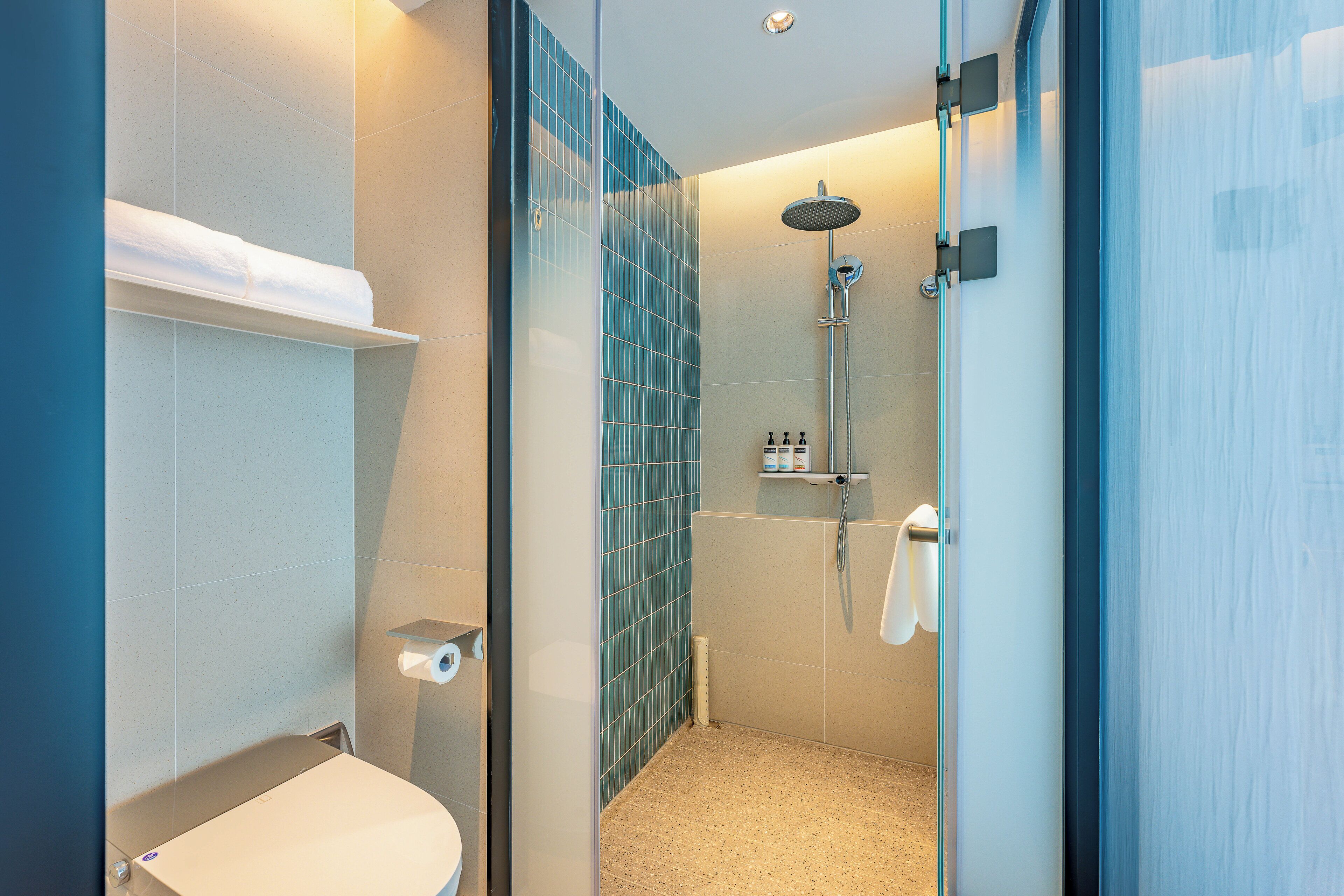 A modern bathroom with a glass shower enclosure, a toilet, and a shelf with toiletries.