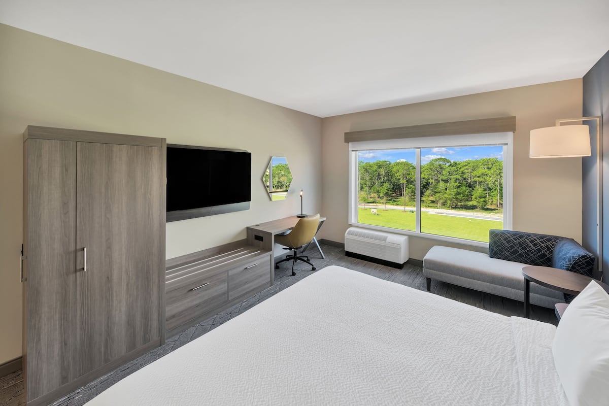 Standard Room, 1 King Bed | Desk, laptop workspace, free cribs/infant beds, free WiFi