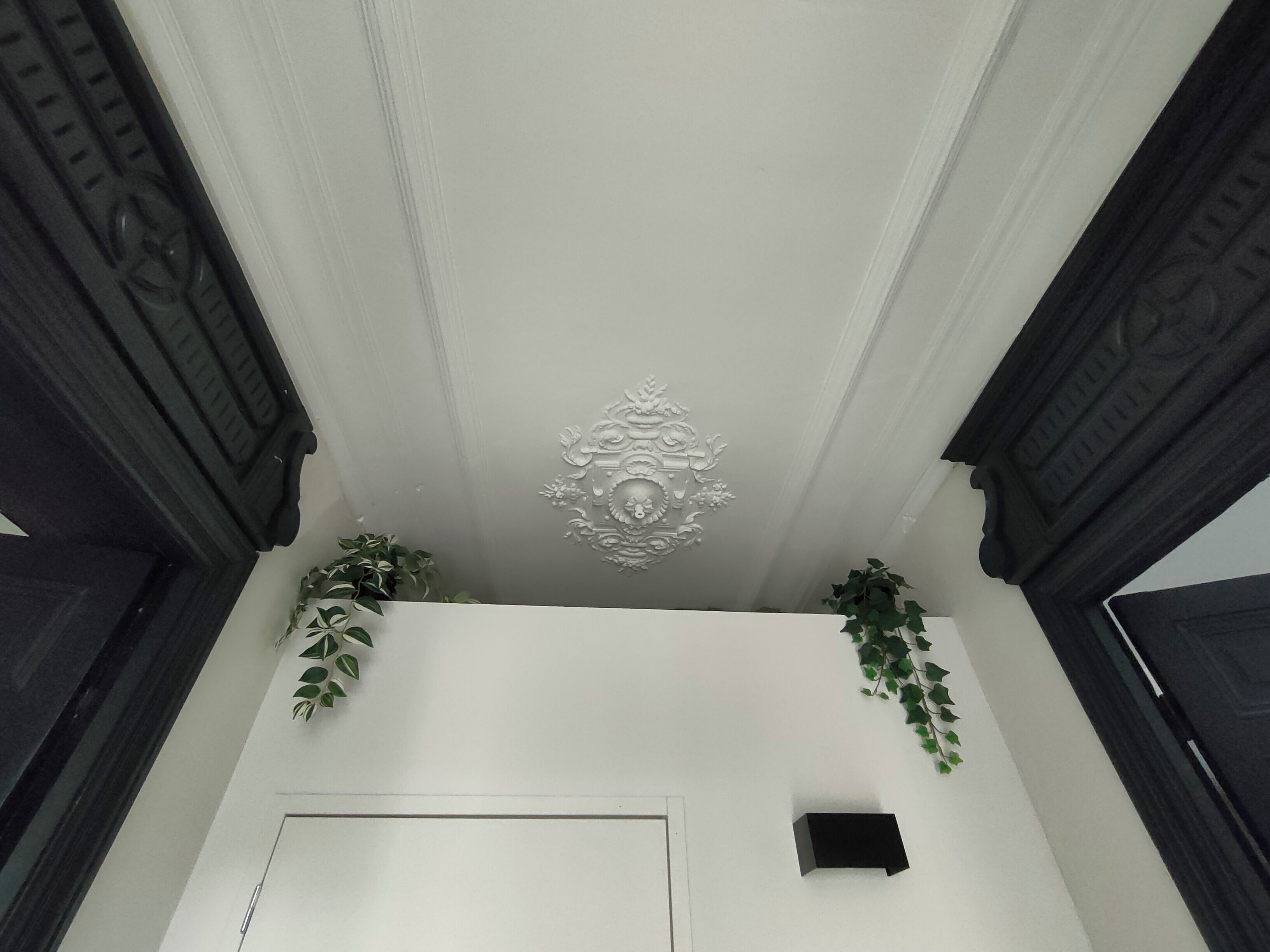 A white ceiling with an ornate central medallion, flanked by dark wooden paneling.