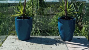 Two potted plants with a view of the ocean. - Morada Prainha (Garopaba)