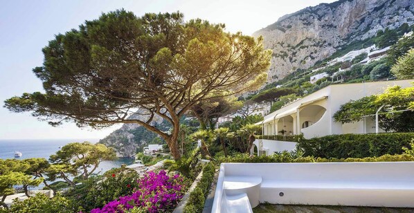 Property grounds - VILLA MARINA BLUE - Six Bedroom Villa, Sleeps 13 (Capri)
