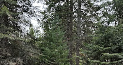 Nature Adventure Campsite/River Floaters, Fly Fishing, Wildlife, Hiking, Biking.