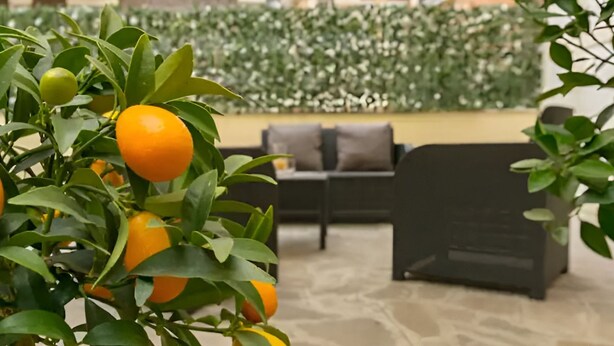 A patio area with a seating arrangement and a plant with orange fruits. - Il Giardino Degli Agrumi - Roma (Roma)