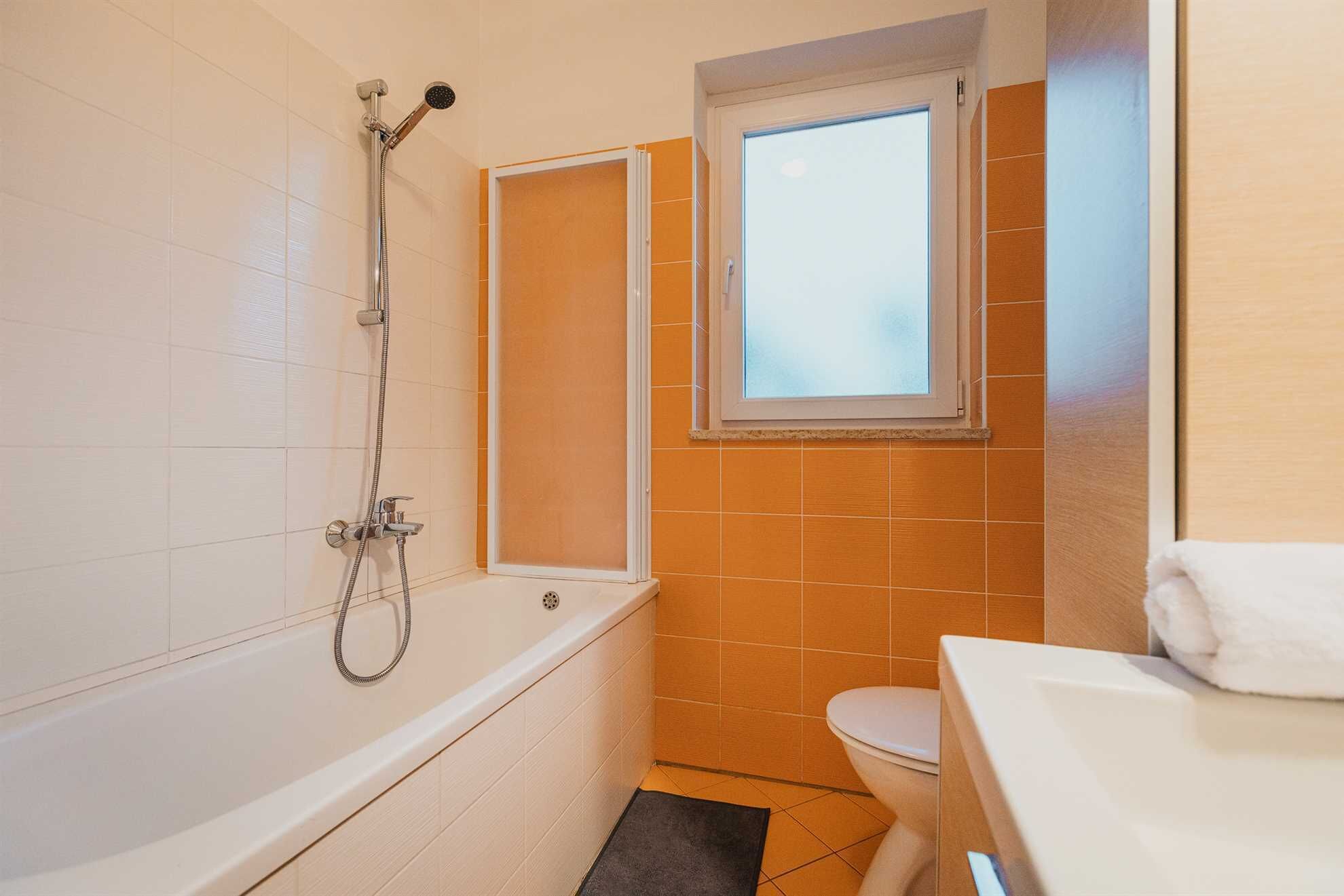 Une salle de bain avec une baignoire, une douche et des toilettes.