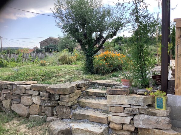 Área da propriedade