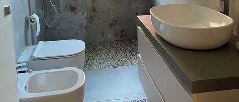 Shower, hair dryer, bidet, towels