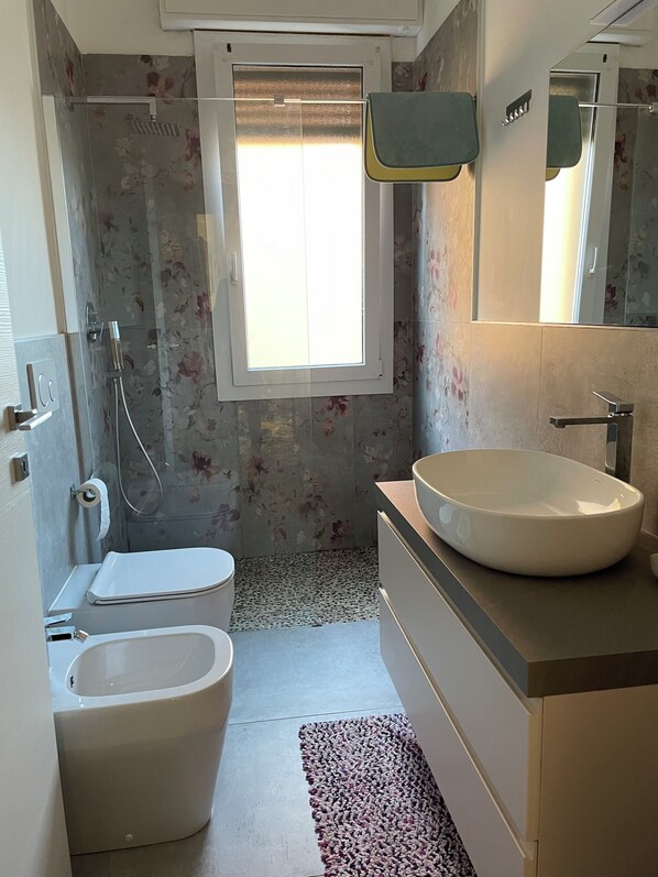 Shower, hair dryer, bidet, towels