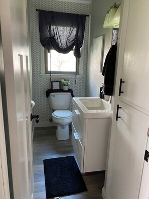 Shower, hair dryer, towels, toilet paper - 5 Bedroom house great for EAA! (Appleton)