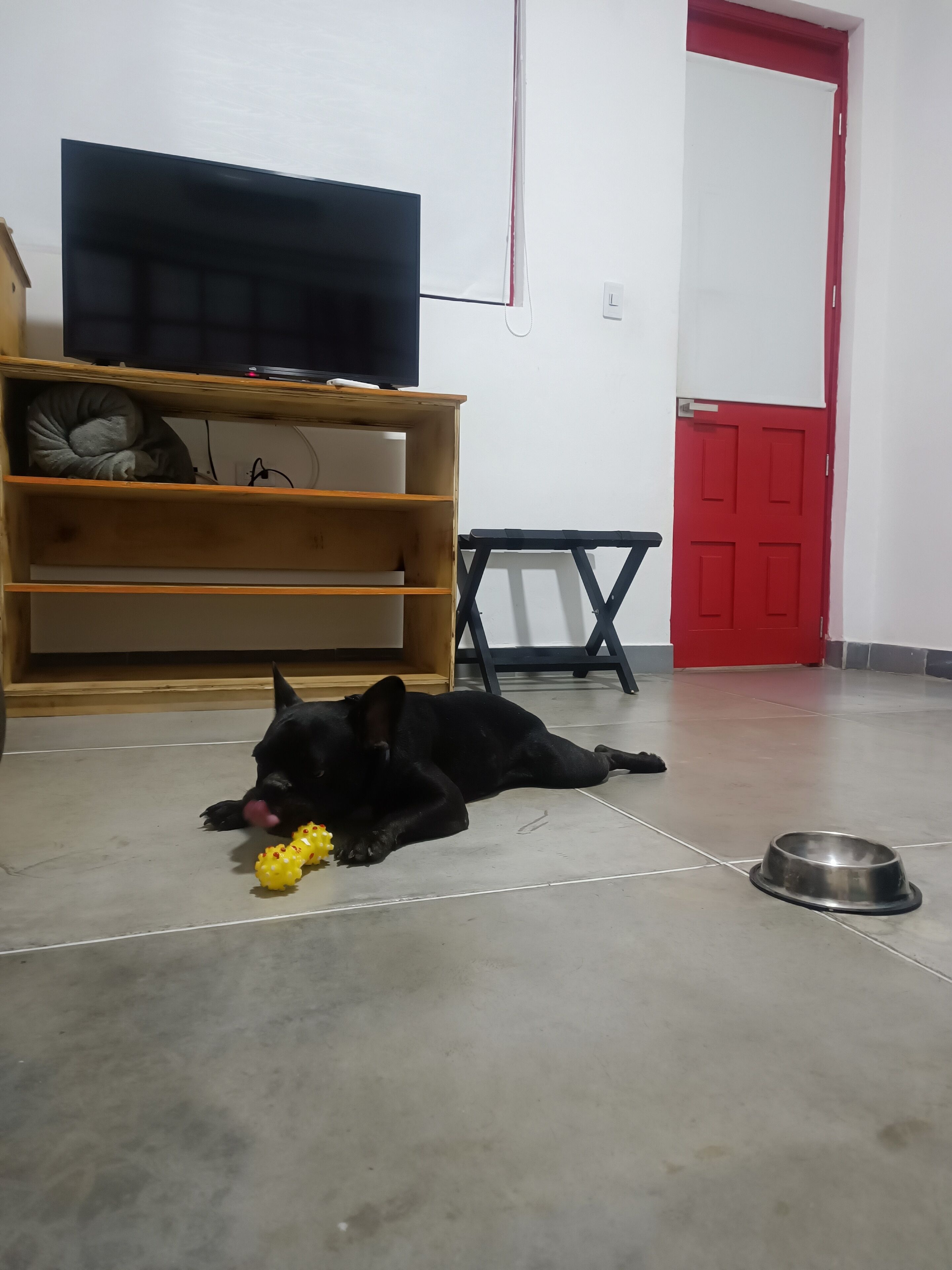Un perro negro recostado sobre un suelo de baldosas, con un juguete amarillo y un cuenco metálico cerca.