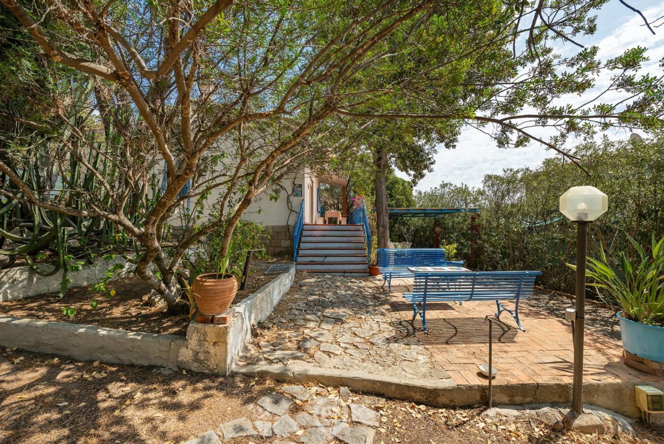 A stone pathway leading to a staircase surrounded by trees and potted plants.