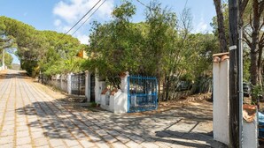 A paved pathway leading to a gated entrance with a blue gate, surrounded by trees and a white wall. - Villa Bluebell - Pula (Pula)