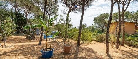 المنطقة المحيطة بالمنشأة