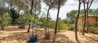 Villa Bluebell - Pula