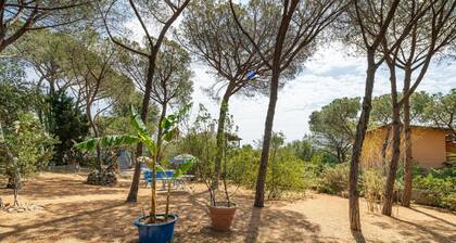 Villa Bluebell - Pula