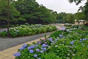 Property grounds - Yataro (Nagasaki)