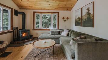 Smart TV, fireplace, books