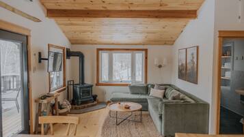 Smart TV, fireplace, books